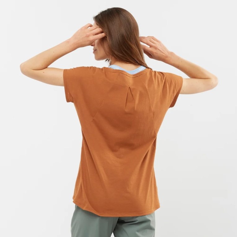 Camiseta Salomon Essential Shaped Corta Sleeve Mujer Marrom | MX XVLD538